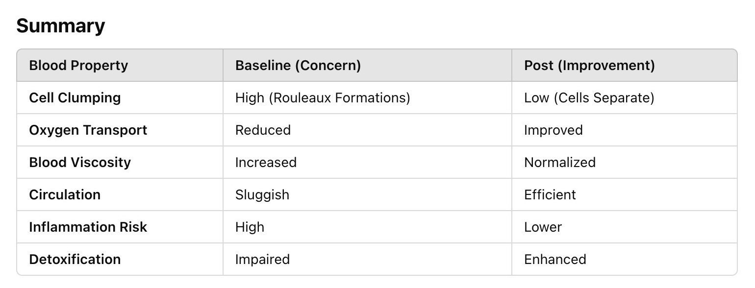 Image Lisa 2 17 25 At 4.44 pm CODE Health Live Blood Microscopy Findings